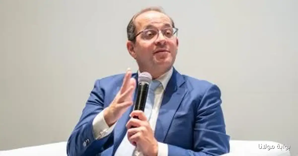 وزيرا المالية والاستثمار يؤكدان قدرة القطاع الخاص المصري على التكيف والنمو بشكل إيجابي