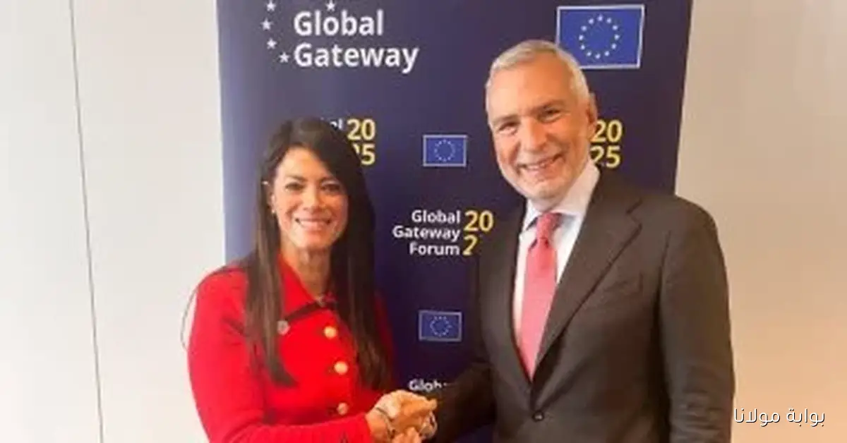 وزيرة التخطيط تستعرض فرص تعزيز الاستثمار الأوروبي في مصر بقيمة 1.8 مليار يورو