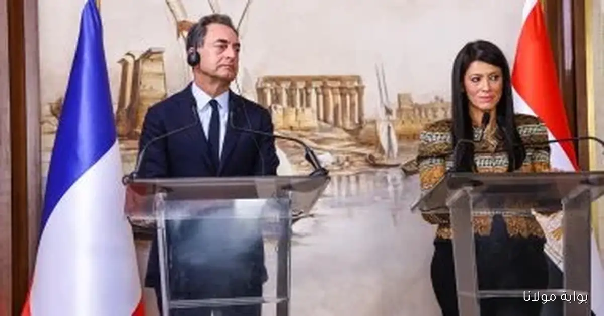 وزيرة التخطيط والسفير الفرنسي يعززان التعاون لتحقيق أهداف الشراكة الاستراتيجية