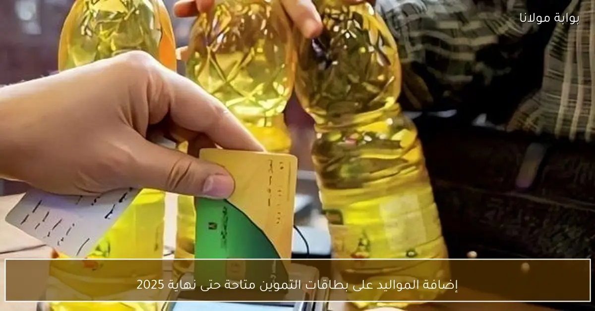 إضافة المواليد على بطاقات التموين متاحة حتى نهاية 2025