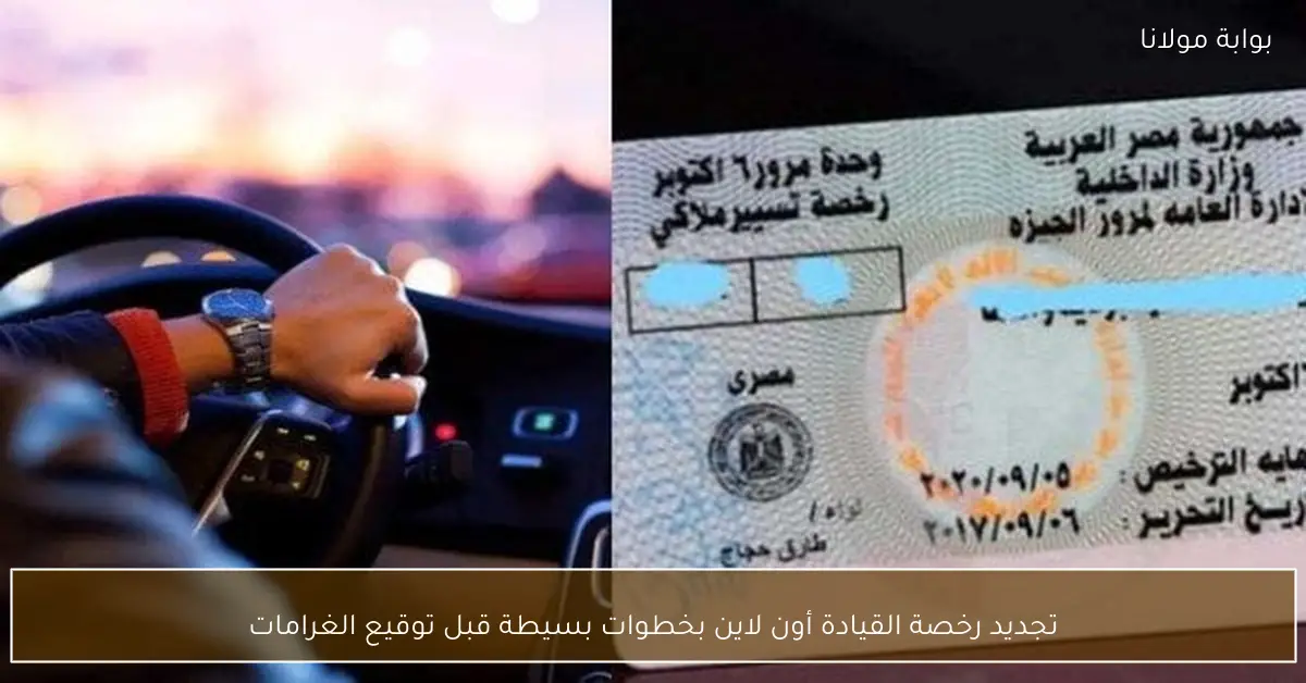تجديد رخصة القيادة أون لاين بخطوات بسيطة قبل توقيع الغرامات
