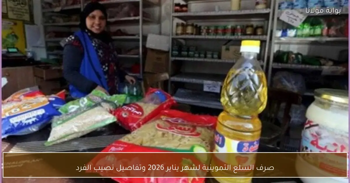 صرف السلع التموينية لشهر يناير 2026 وتفاصيل نصيب الفرد