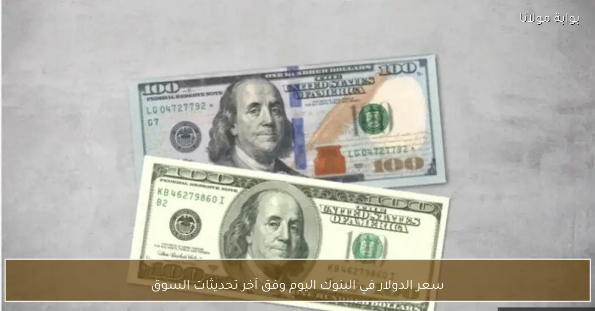 سعر الدولار في البنوك اليوم وفق آخر تحديثات السوق