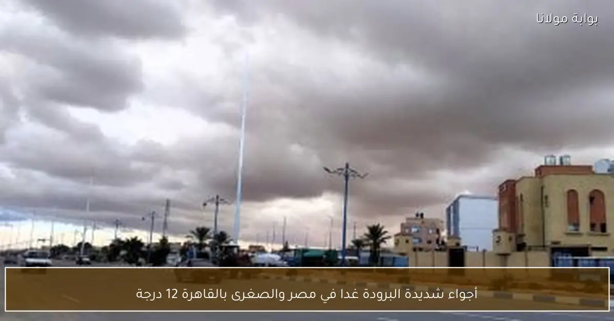 أجواء شديدة البرودة غدا في مصر والصغرى بالقاهرة 12 درجة