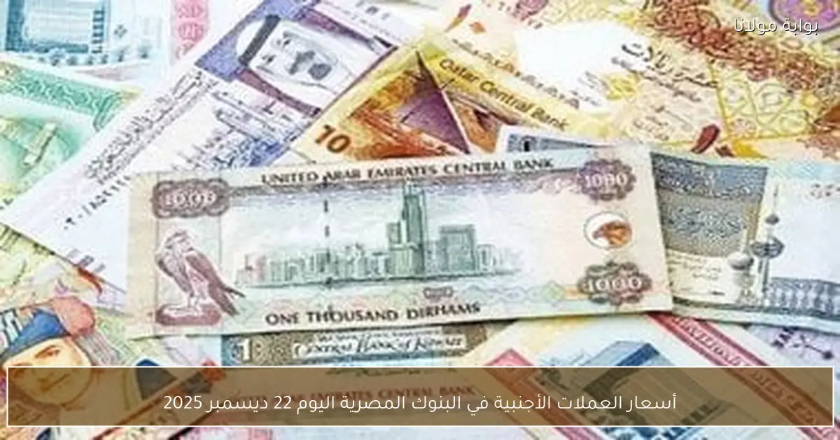 أسعار العملات الأجنبية في البنوك المصرية اليوم 22 ديسمبر 2025