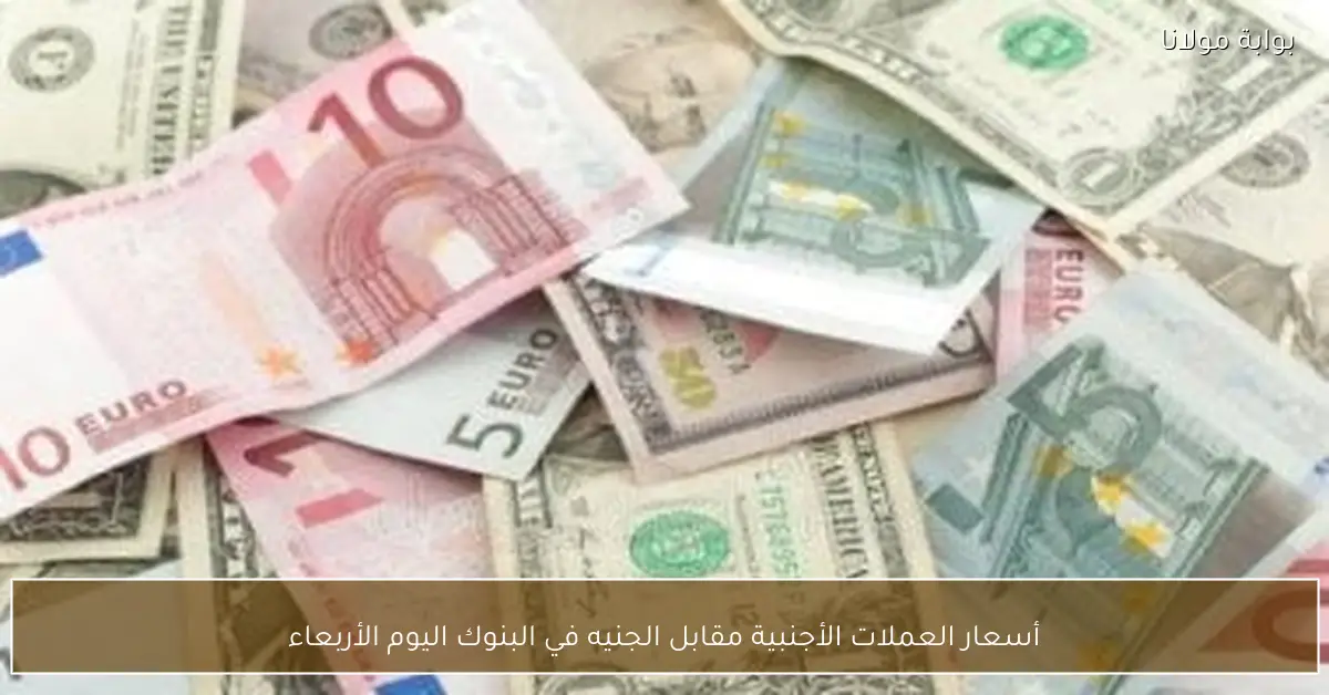 أسعار العملات الأجنبية مقابل الجنيه في البنوك اليوم الأربعاء