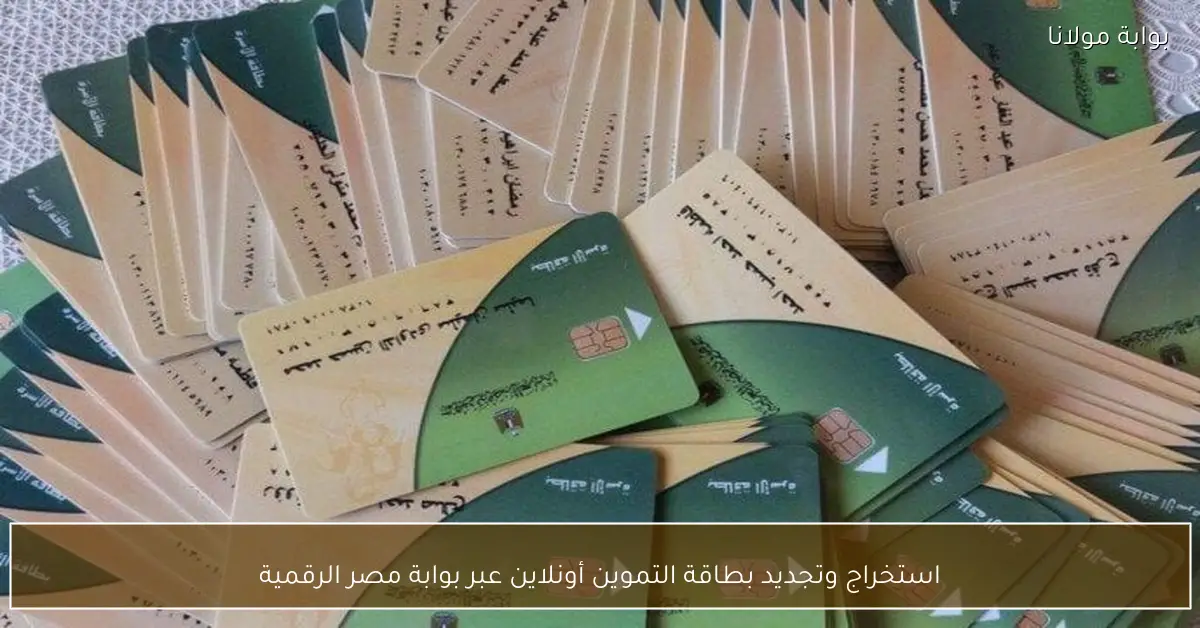استخراج وتجديد بطاقة التموين أونلاين عبر بوابة مصر الرقمية