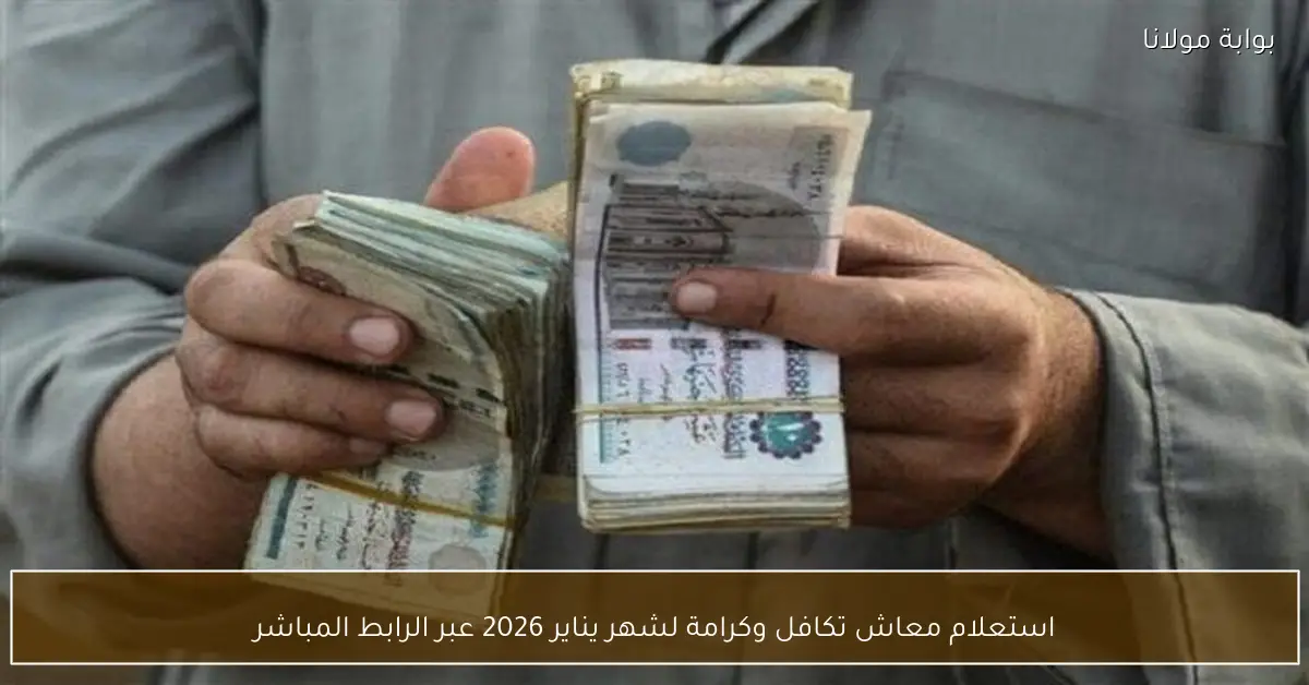 استعلام معاش تكافل وكرامة لشهر يناير 2026 عبر الرابط المباشر