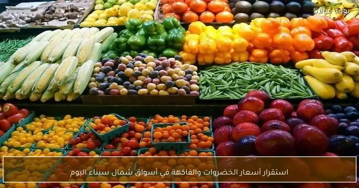 استقرار أسعار الخضروات والفاكهة في أسواق شمال سيناء اليوم