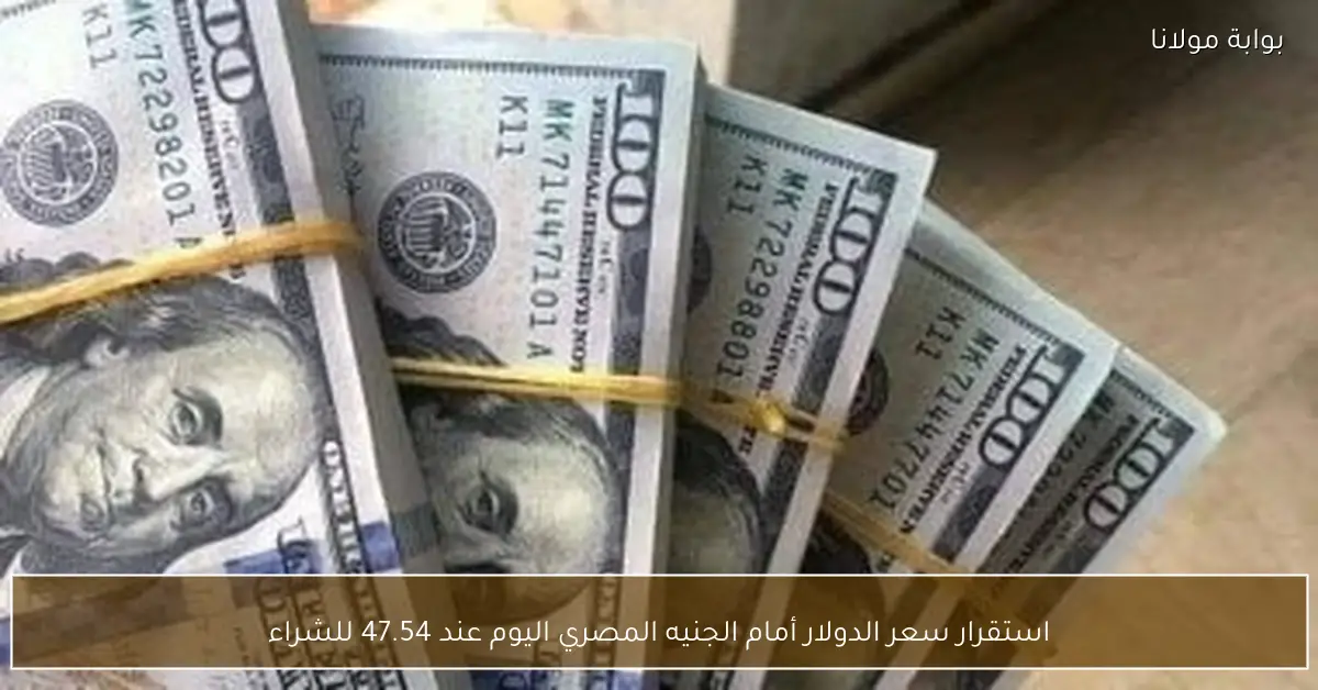 استقرار سعر الدولار أمام الجنيه المصري اليوم عند 47.54 للشراء