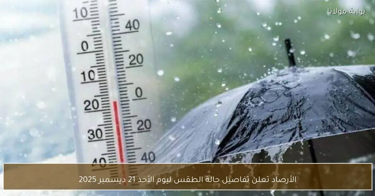 الأرصاد تعلن تفاصيل حالة الطقس ليوم الأحد 21 ديسمبر 2025