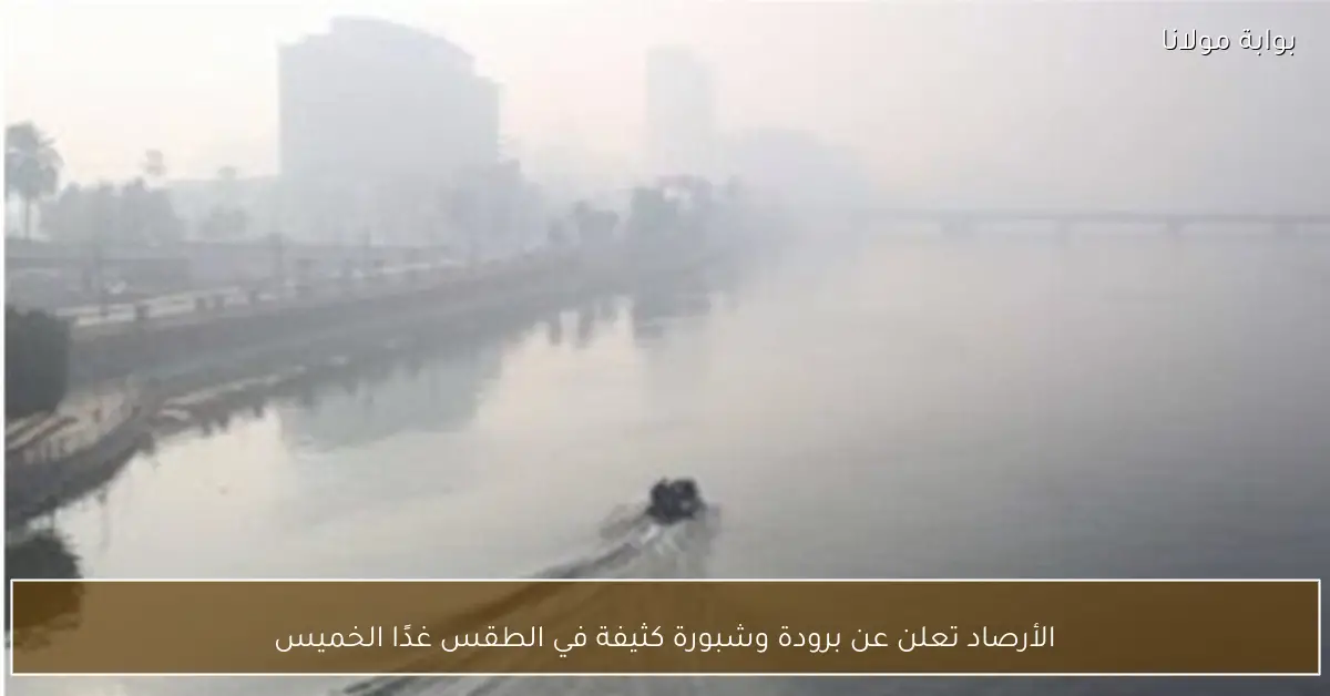 الأرصاد تعلن عن برودة وشبورة كثيفة في الطقس غدًا الخميس