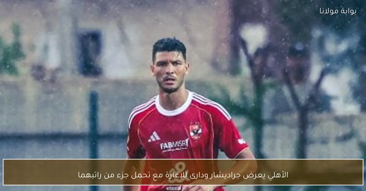 الأهلي يعرض جراديشار ودارى للإعارة مع تحمل جزء من راتبهما