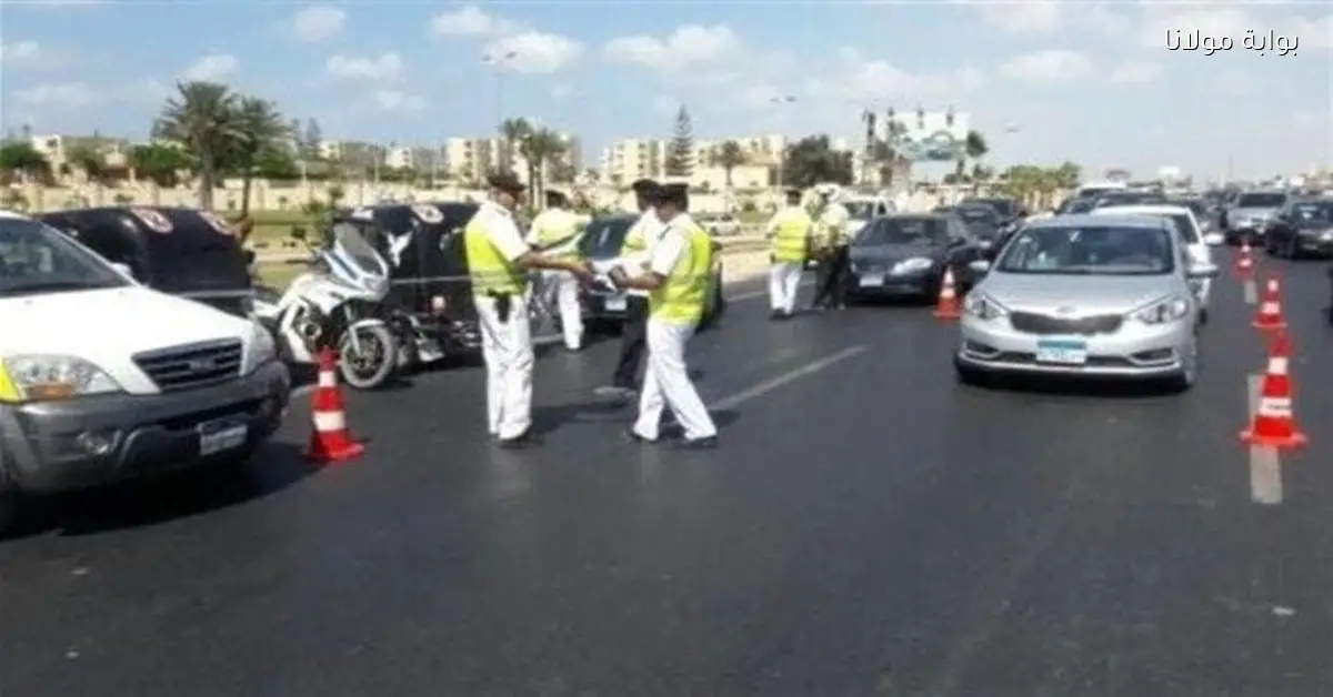 الاستعلام عن مخالفات المرور بسهولة من خلال منصة مصر الرقمية