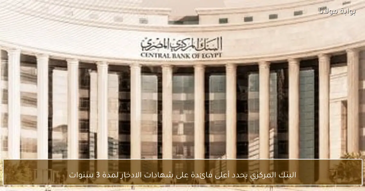البنك المركزي يحدد أعلى فائدة على شهادات الادخار لمدة 3 سنوات