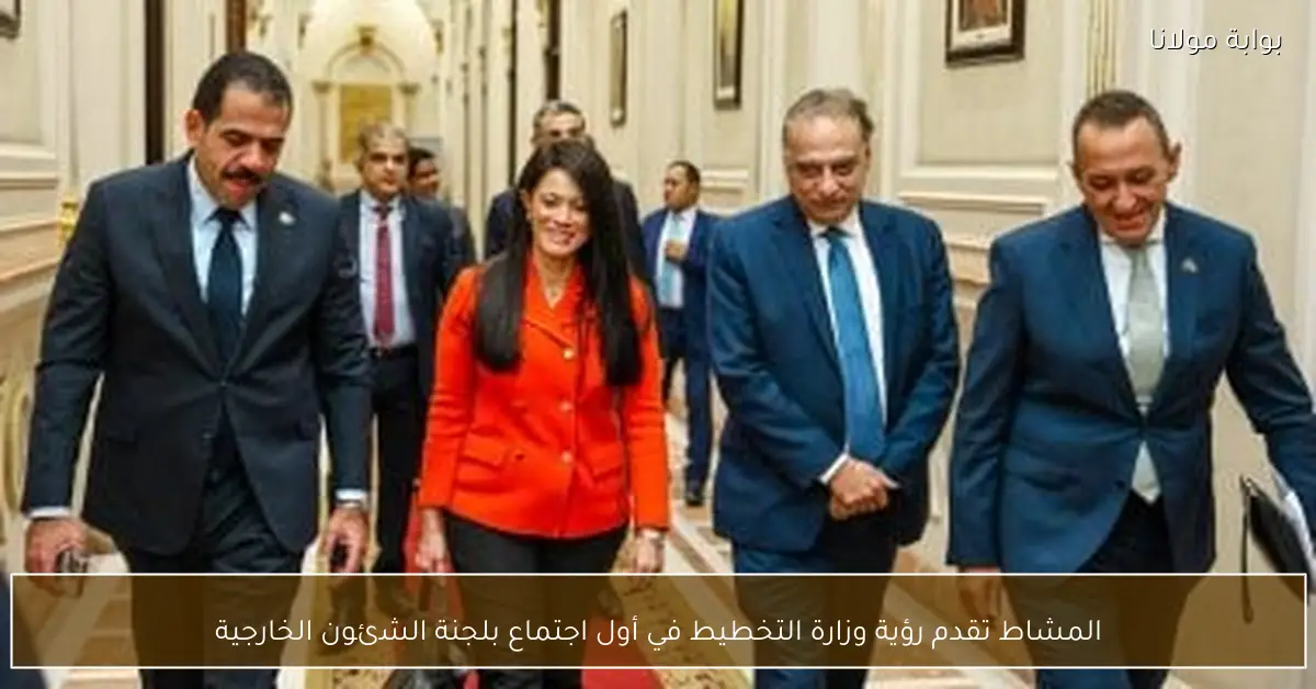 المشاط تقدم رؤية وزارة التخطيط في أول اجتماع بلجنة الشئون الخارجية