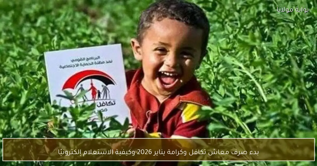 بدء صرف معاش تكافل وكرامة يناير 2026 وكيفية الاستعلام إلكترونيًا