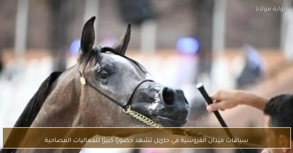 سباقات ميدان الفروسية في حائل تشهد حضورًا كبيرًا للفعاليات المصاحبة