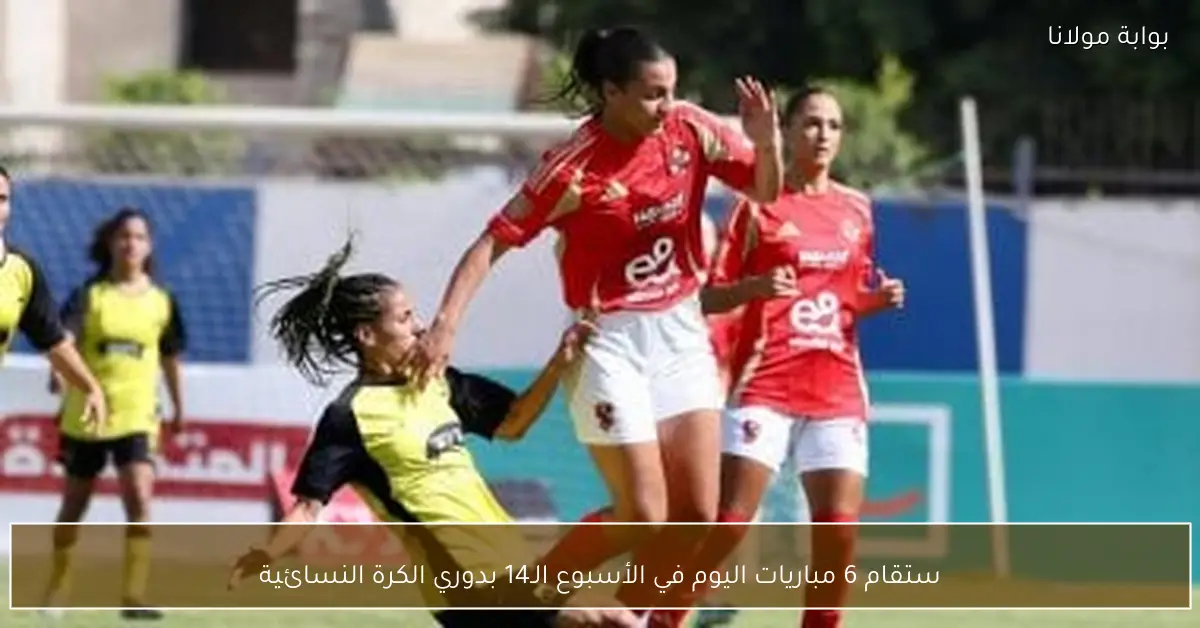 ستقام 6 مباريات اليوم في الأسبوع الـ14 بدوري الكرة النسائية