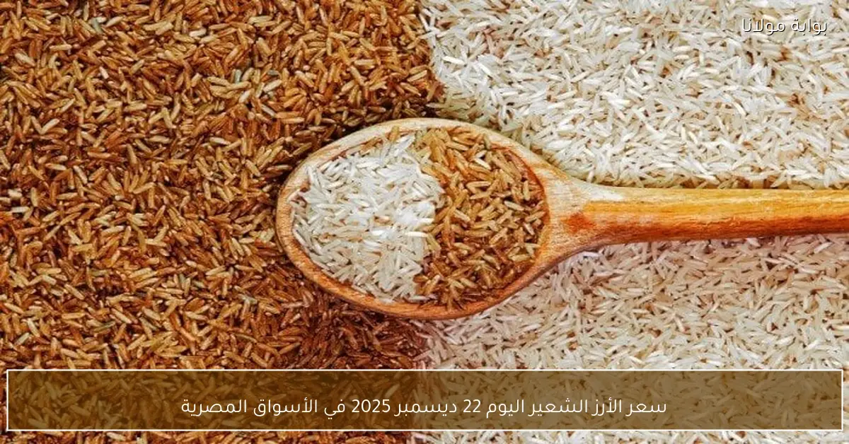 سعر الأرز الشعير اليوم 22 ديسمبر 2025 في الأسواق المصرية