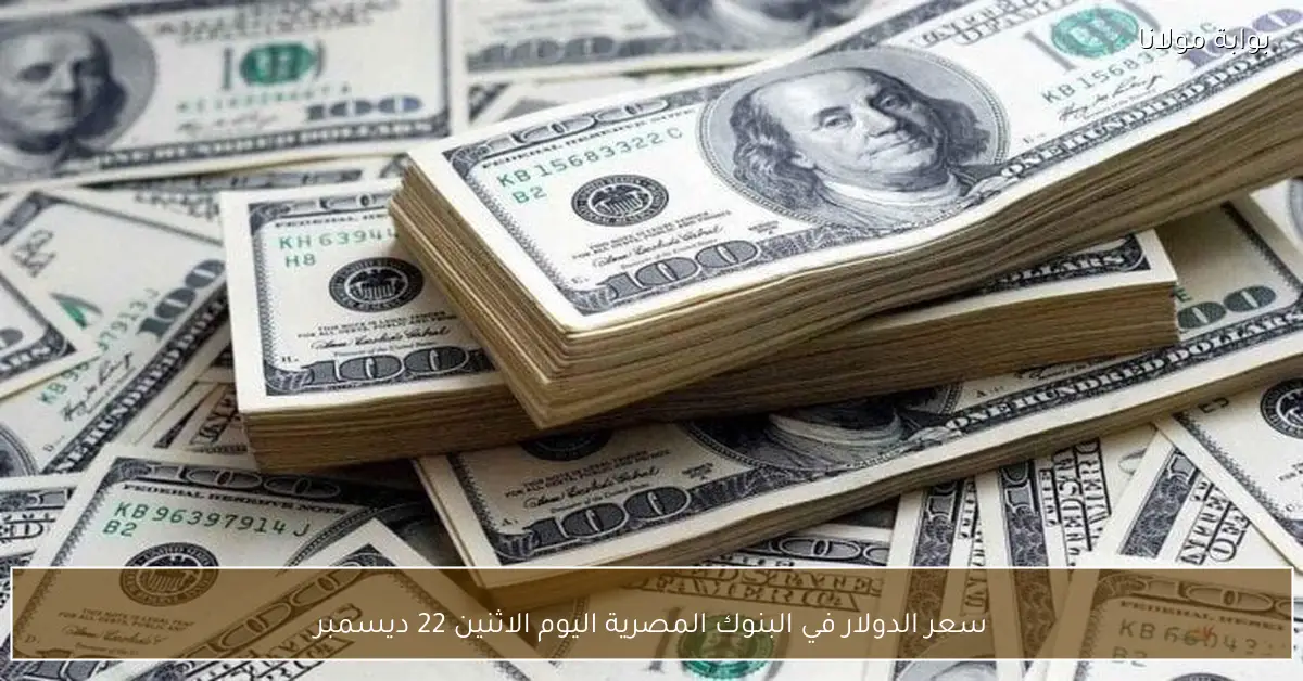 سعر الدولار في البنوك المصرية اليوم الاثنين 22 ديسمبر