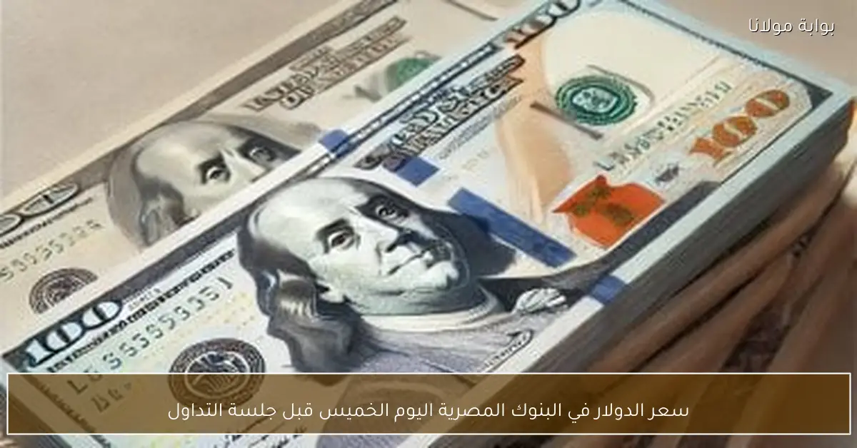 سعر الدولار في البنوك المصرية اليوم الخميس قبل جلسة التداول