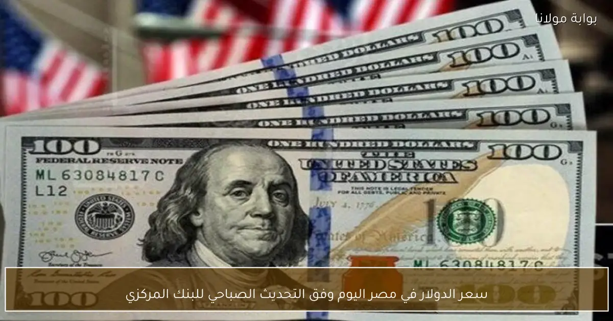 سعر الدولار في مصر اليوم وفق التحديث الصباحي للبنك المركزي