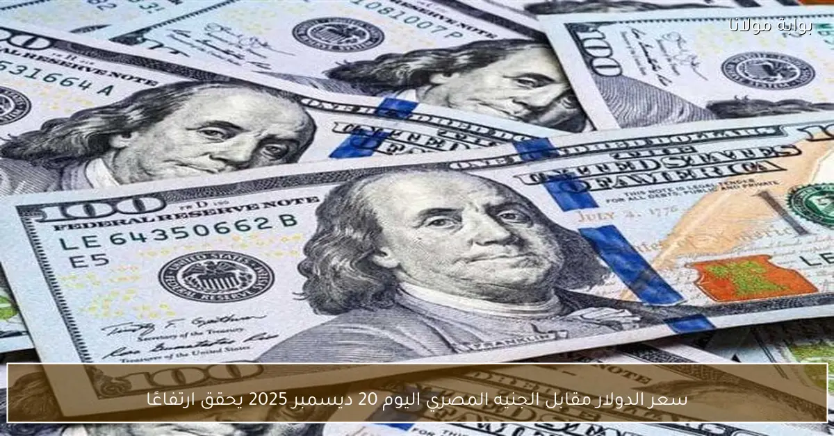 سعر الدولار مقابل الجنيه المصري اليوم 20 ديسمبر 2025 يحقق ارتفاعًا