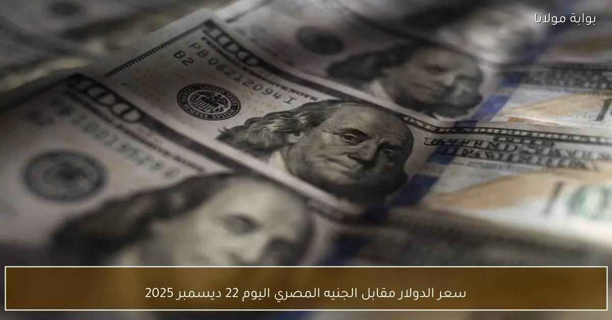 سعر الدولار مقابل الجنيه المصري اليوم 22 ديسمبر 2025