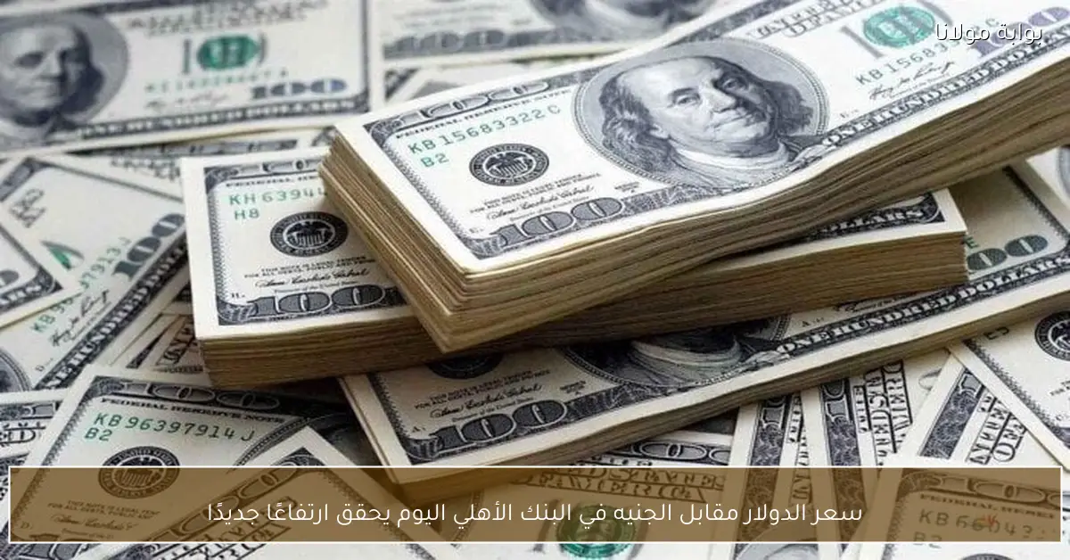 سعر الدولار مقابل الجنيه في البنك الأهلي اليوم يحقق ارتفاعًا جديدًا
