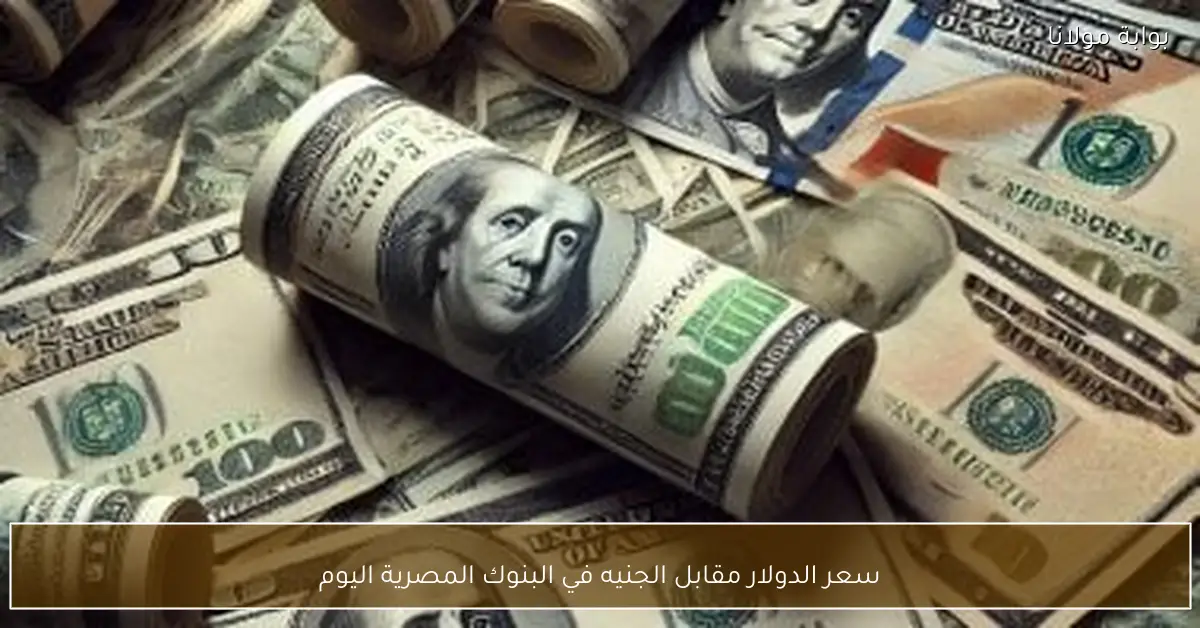 سعر الدولار مقابل الجنيه في البنوك المصرية اليوم