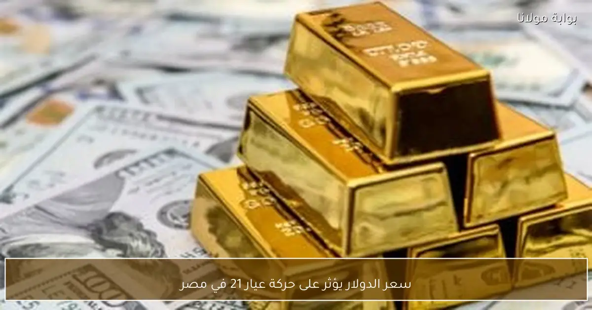 سعر الدولار يؤثر على حركة عيار 21 في مصر