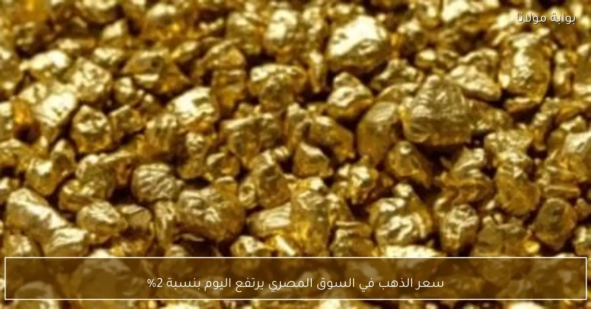 سعر الذهب في السوق المصري يرتفع اليوم بنسبة 2%