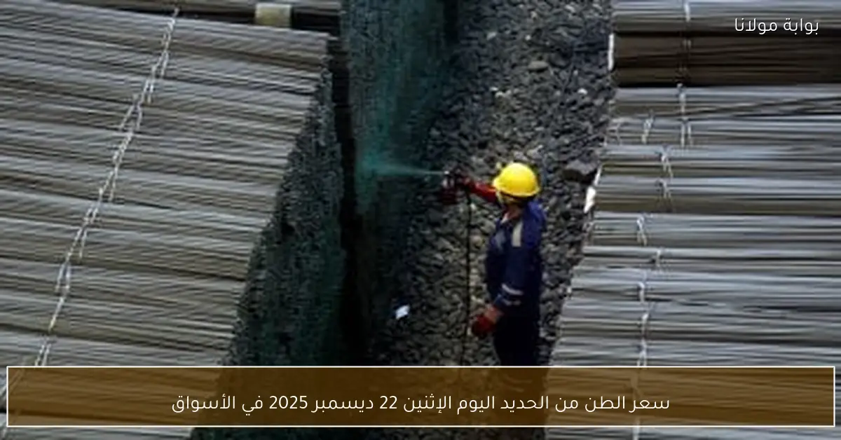 سعر الطن من الحديد اليوم الإثنين 22 ديسمبر 2025 في الأسواق