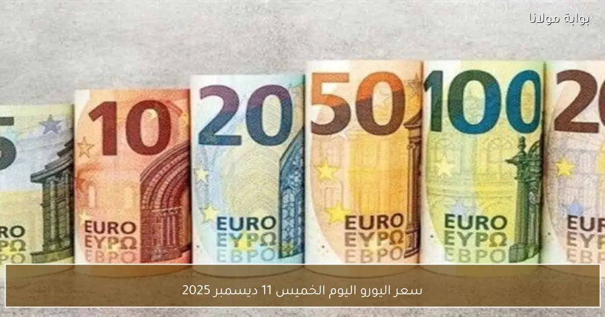 سعر اليورو اليوم الخميس 11 ديسمبر 2025