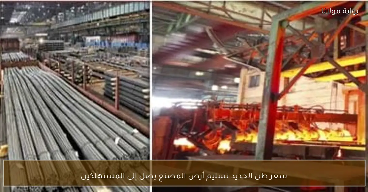 سعر طن الحديد تسليم أرض المصنع يصل إلى المستهلكين