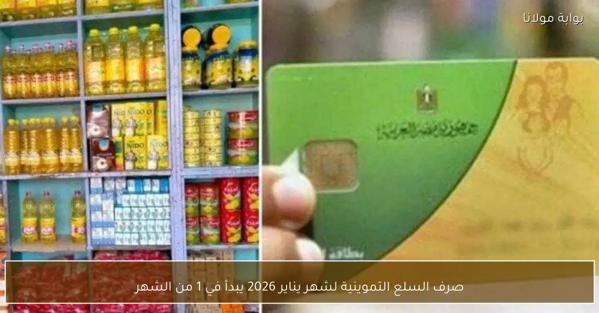 صرف السلع التموينية لشهر يناير 2026 يبدأ في 1 من الشهر