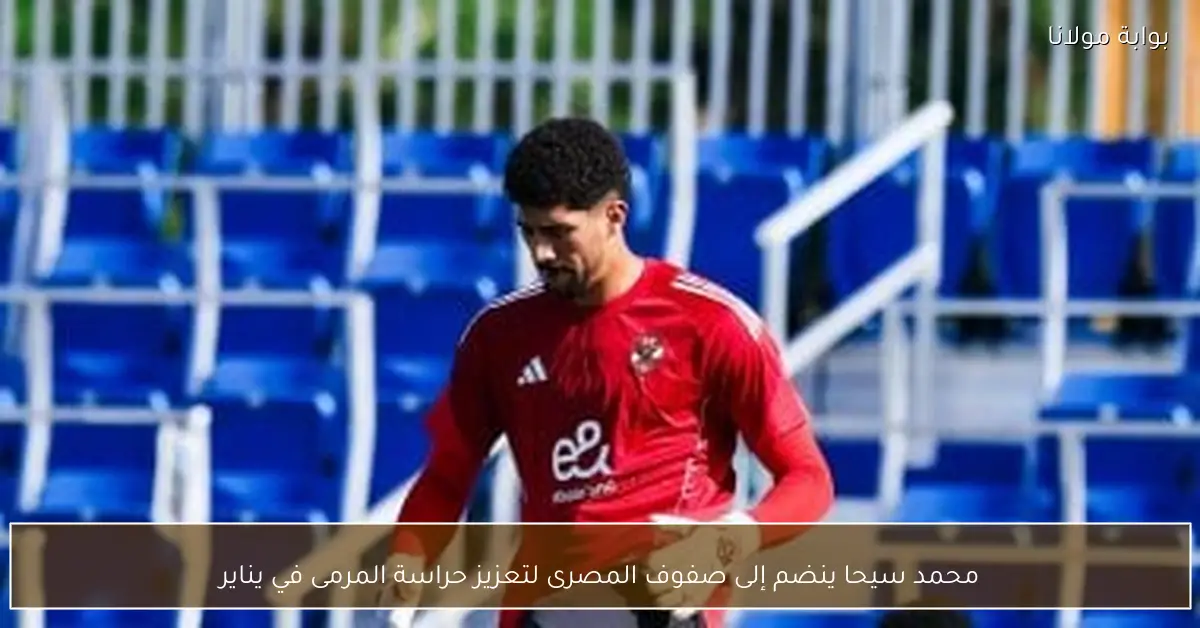 محمد سيحا ينضم إلى صفوف المصرى لتعزيز حراسة المرمى في يناير