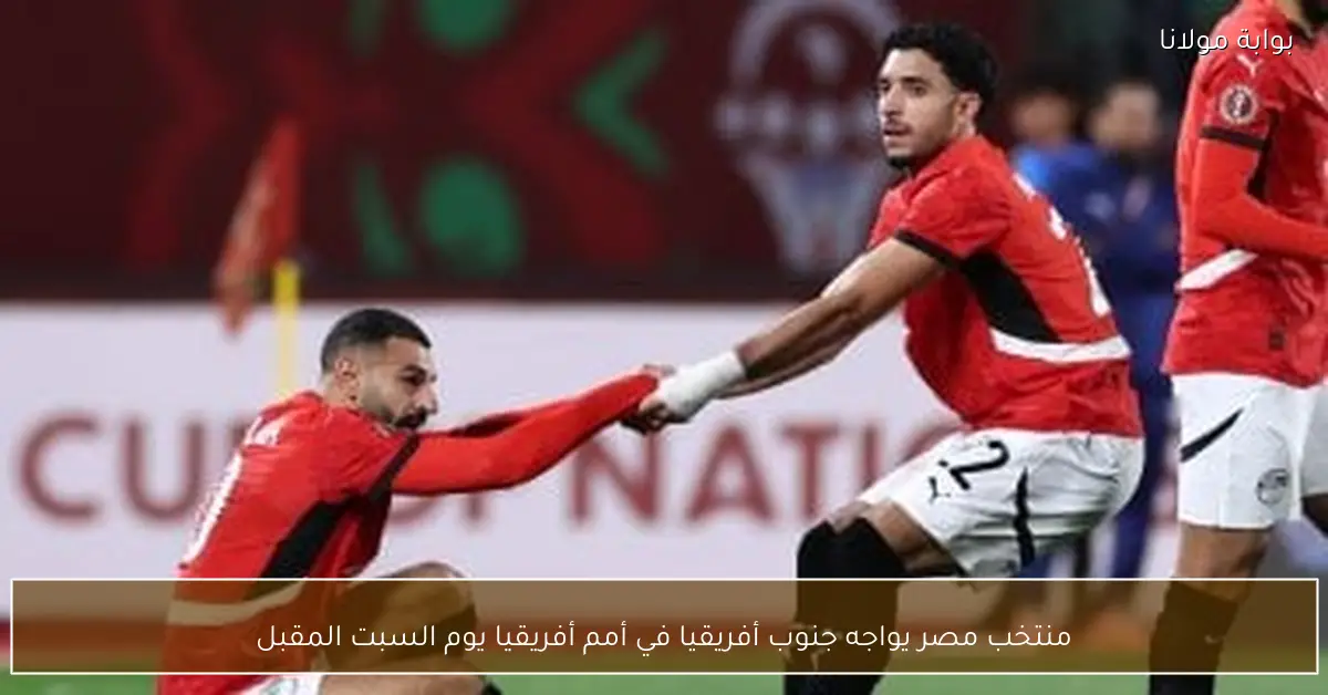 منتخب مصر يواجه جنوب أفريقيا في أمم أفريقيا يوم السبت المقبل