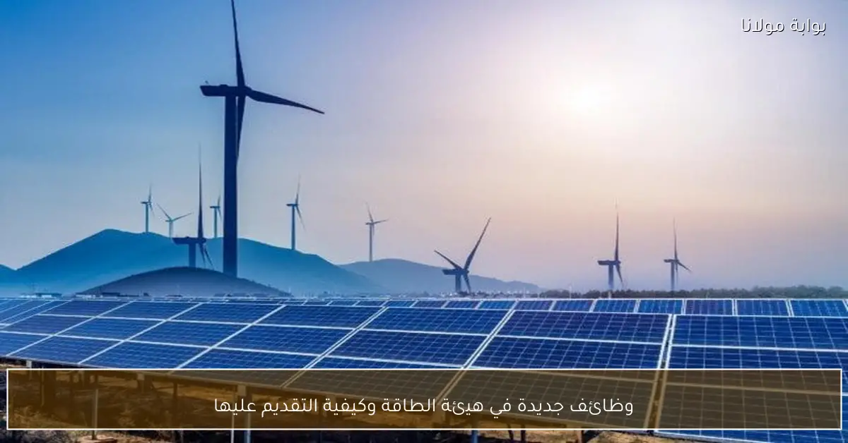 وظائف جديدة في هيئة الطاقة وكيفية التقديم عليها