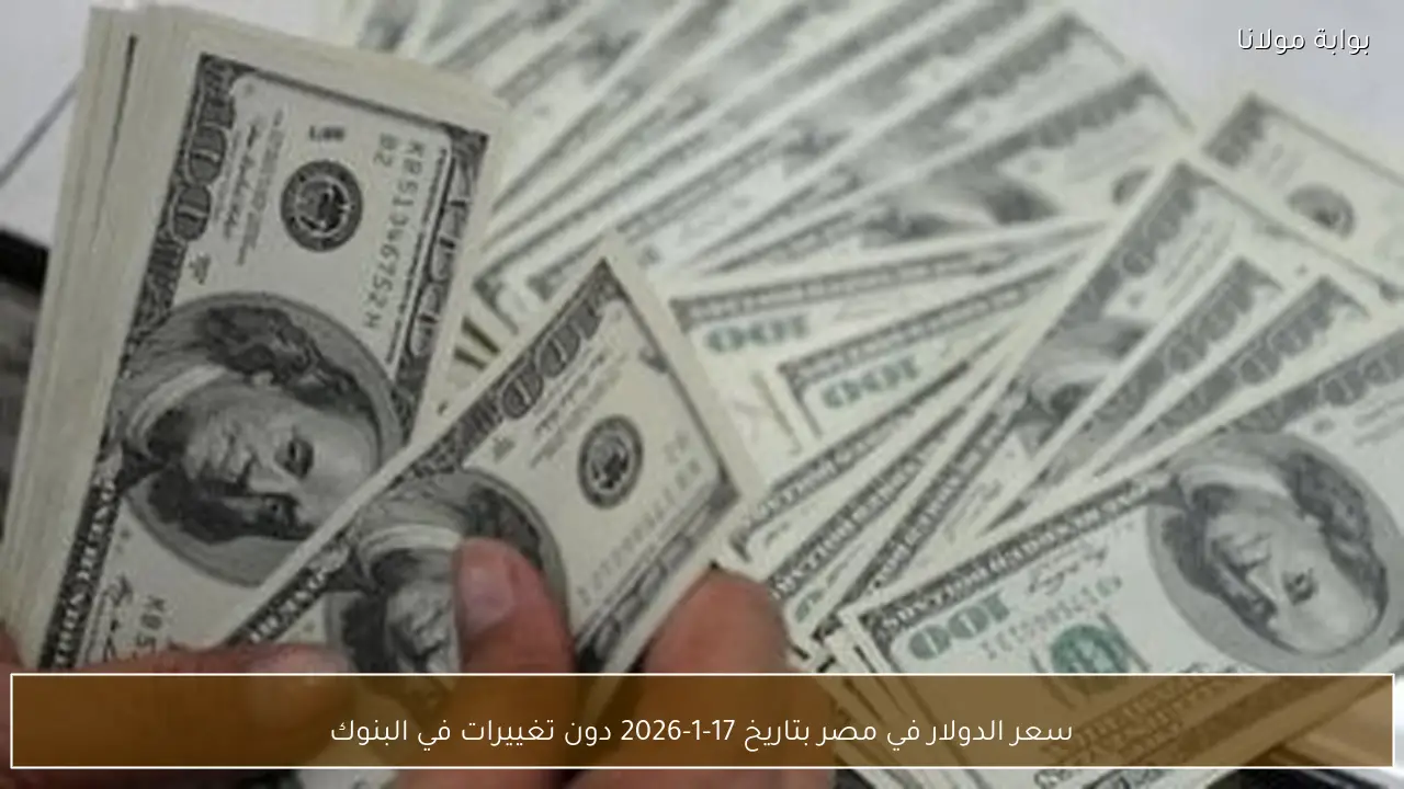 سعر الدولار في مصر بتاريخ 17-1-2026 دون تغييرات في البنوك