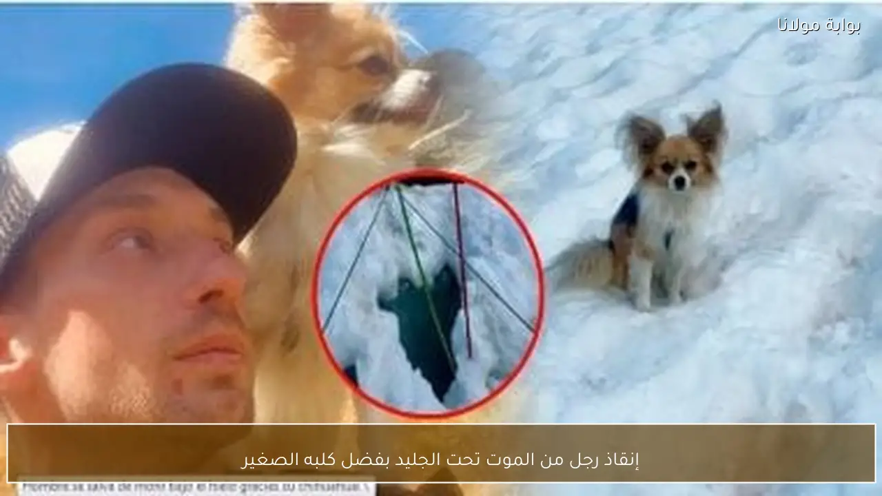 إنقاذ رجل من الموت تحت الجليد بفضل كلبه الصغير