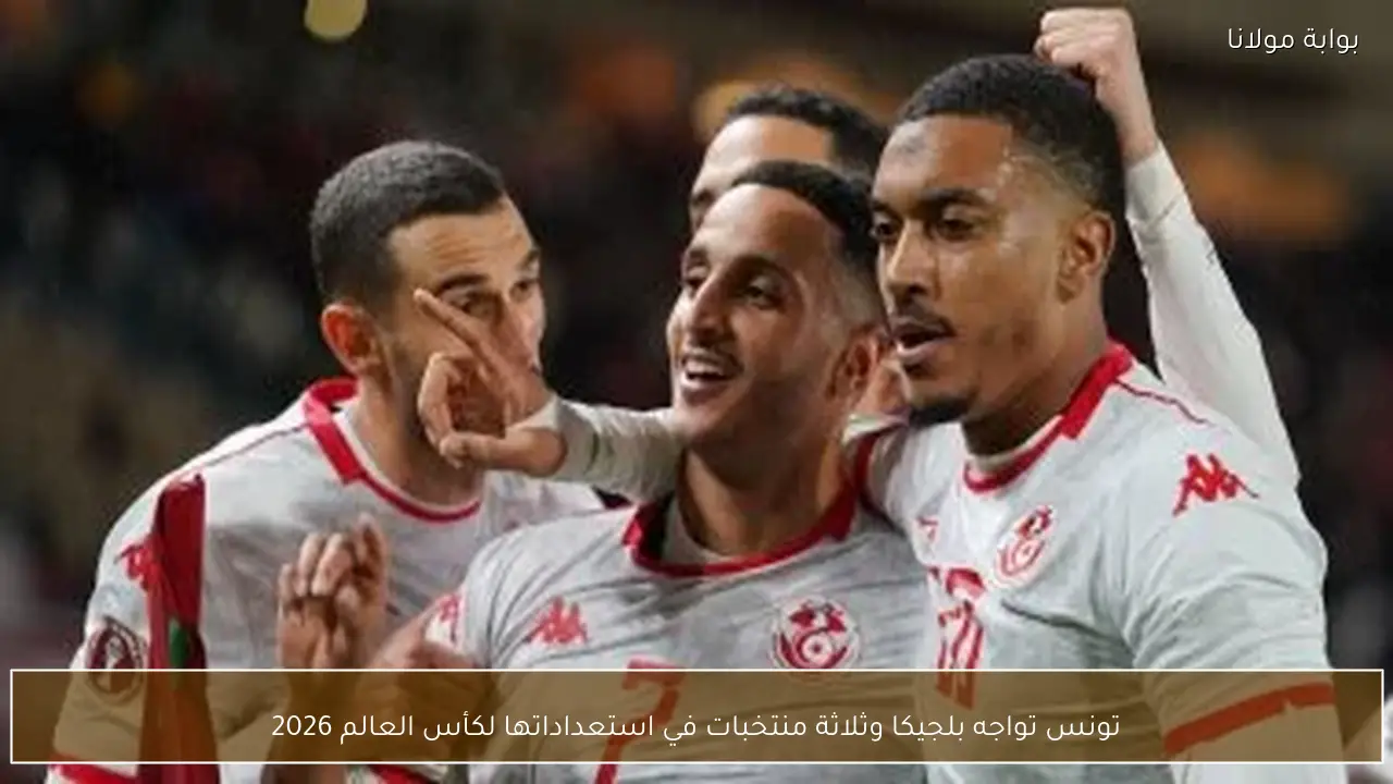 تونس تواجه بلجيكا وثلاثة منتخبات في استعداداتها لكأس العالم 2026