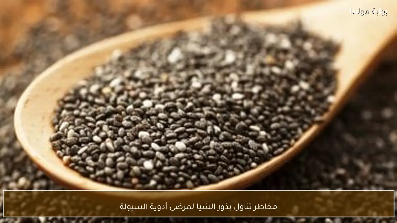 مخاطر تناول بذور الشيا لمرضى أدوية السيولة