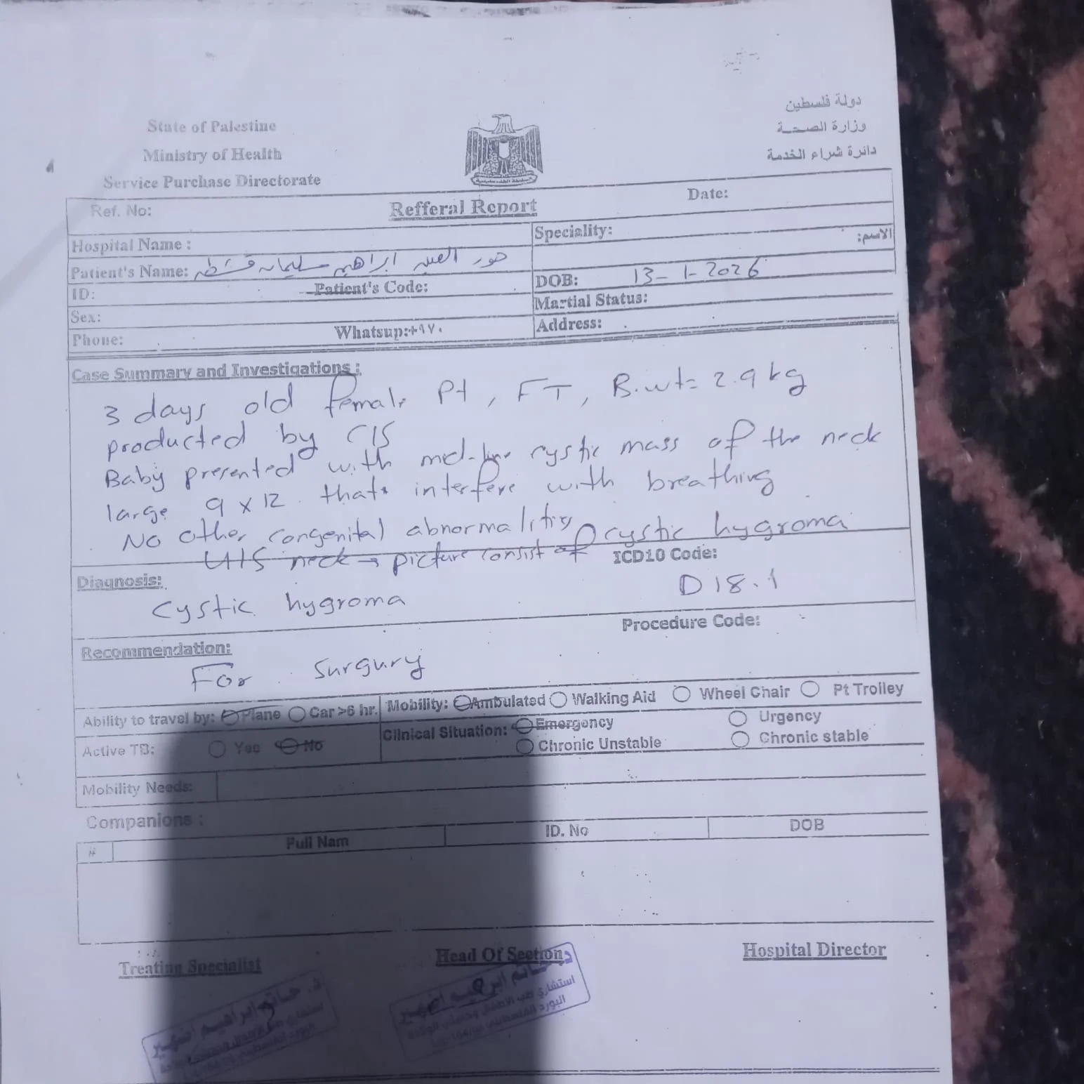 التقرير الطبي لحور العين قشطة التقرير الطبي لحور العين قشطة