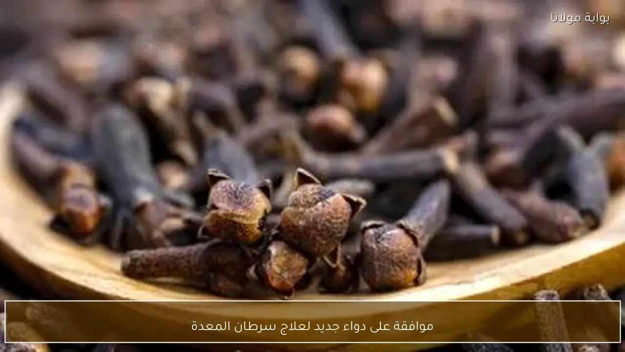 موافقة على دواء جديد لعلاج سرطان المعدة