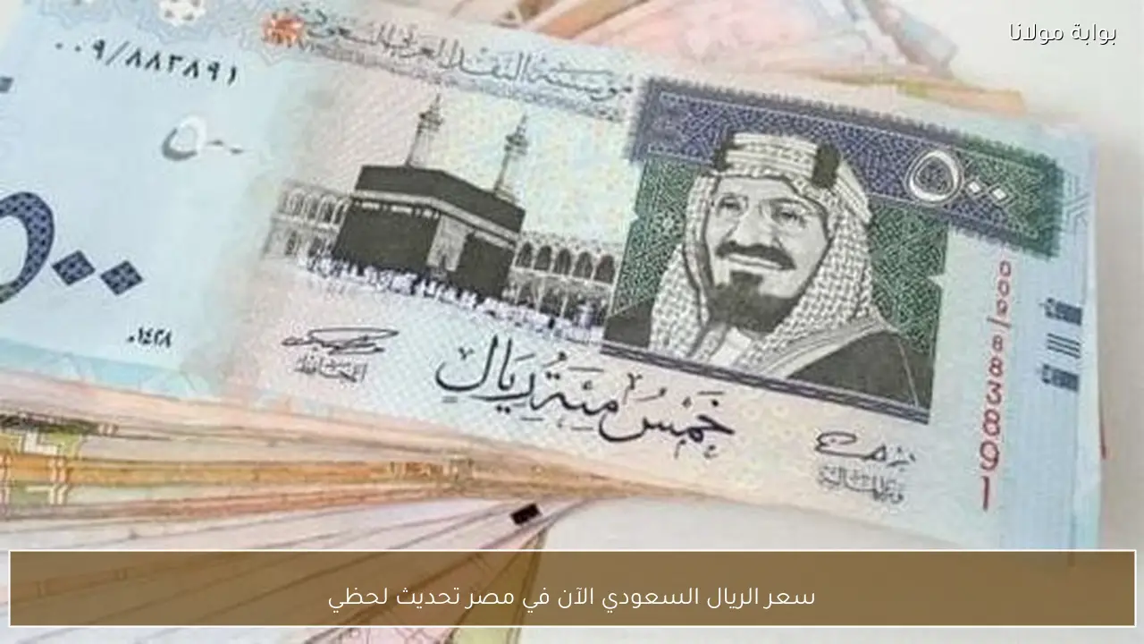 سعر الريال السعودي الآن في مصر تحديث لحظي