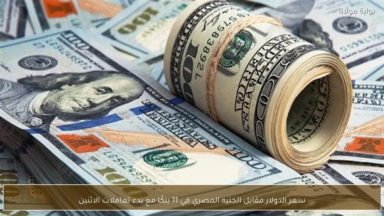 سعر الدولار مقابل الجنيه المصري في 11 بنكًا مع بدء تعاملات الاثنين