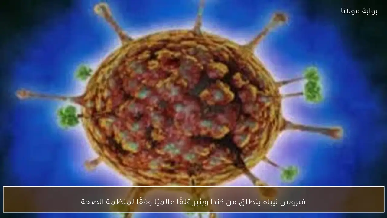 فيروس نيباه ينطلق من كندا ويثير قلقًا عالميًا وفقًا لمنظمة الصحة
