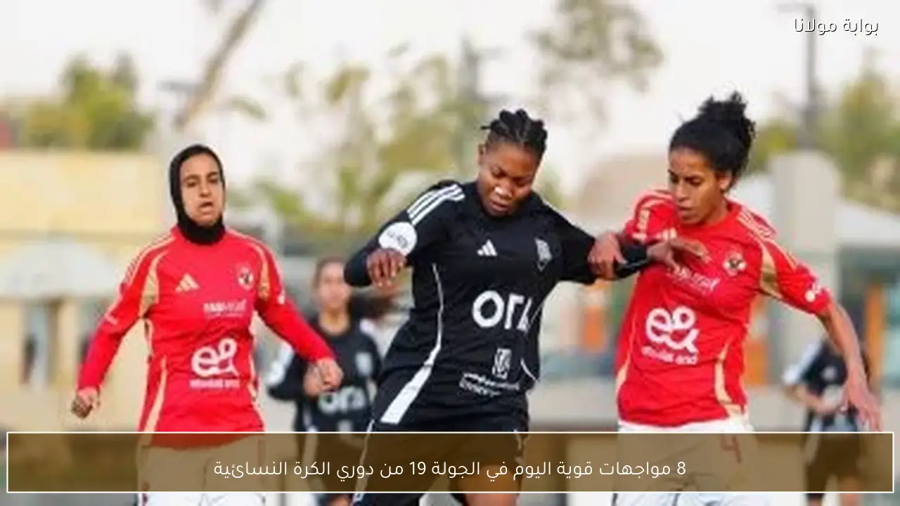 8 مواجهات قوية اليوم في الجولة 19 من دوري الكرة النسائية